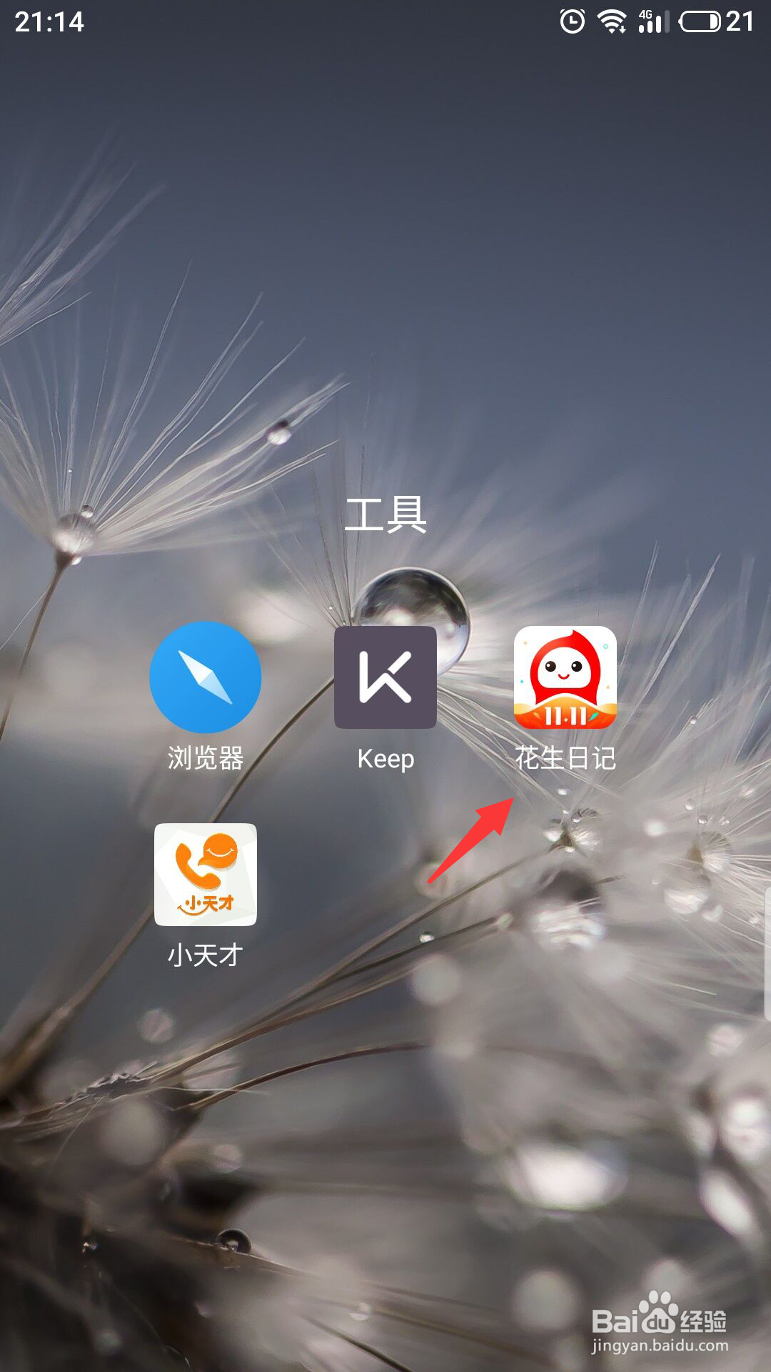 花生日记怎么绑定支付宝