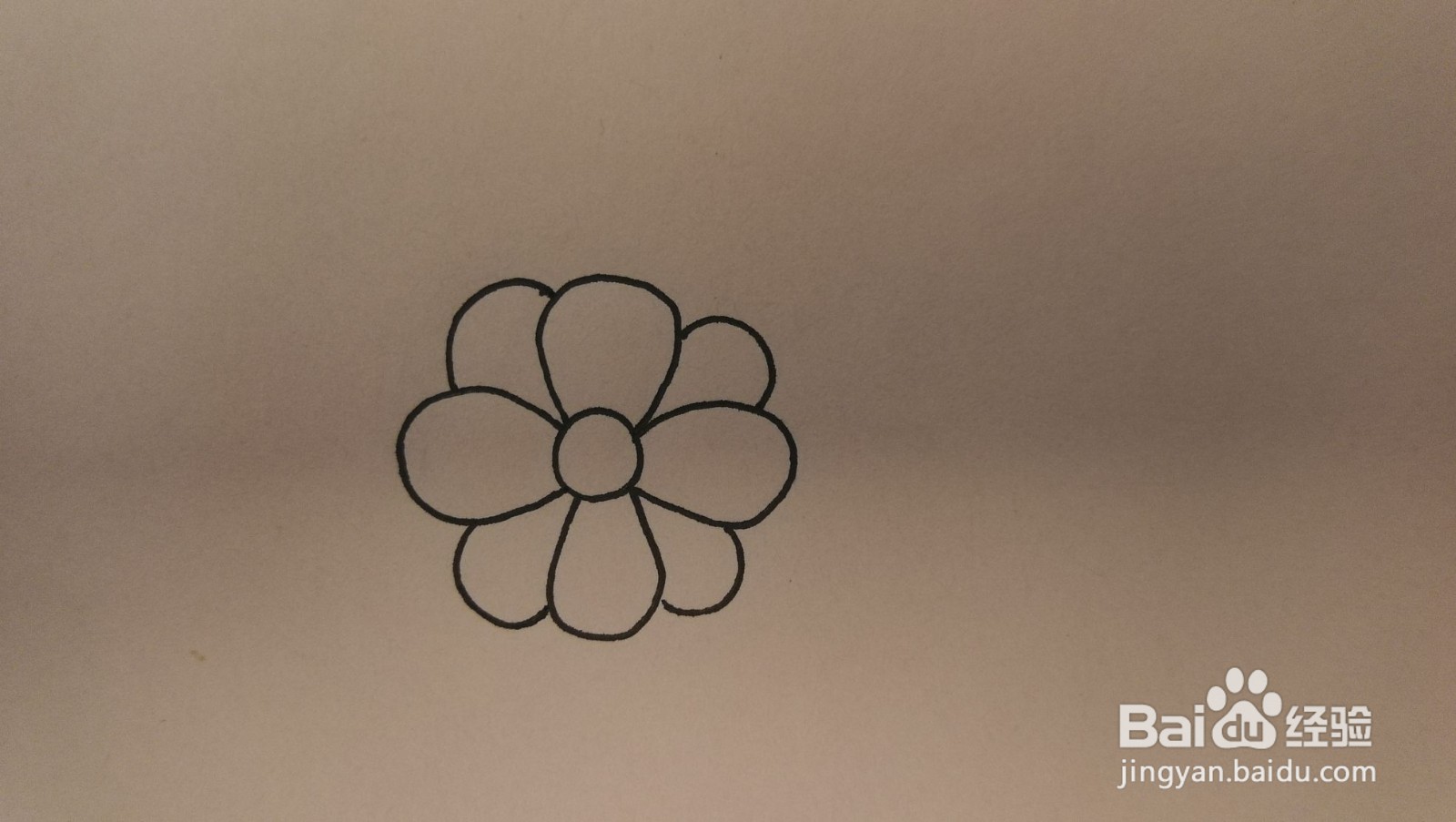 #经验分享官#花朵和叶子简笔画