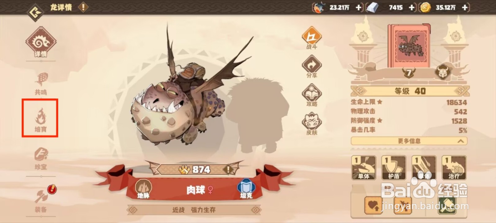 驯龙高手旅程肉球天赋评分如何进行训练？