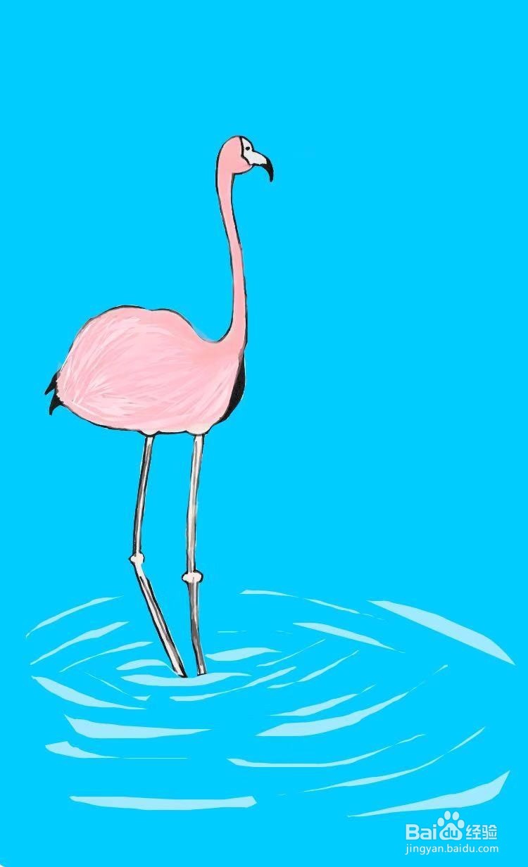 茉莉水彩手绘之火烈鸟