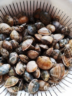 养生食补蛤蜊冬瓜汤的做法