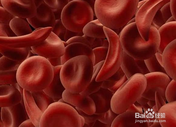 什么情况下不能拔牙