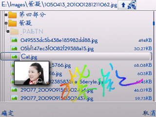 诺基亚E71精美来电通配置