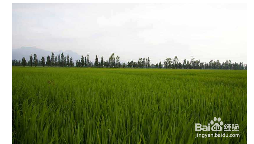 耕地保护政策有哪些？