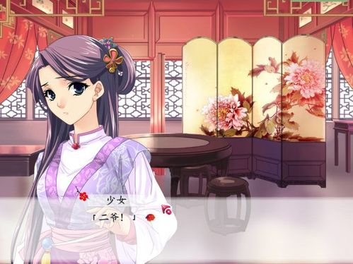 红楼梦：林黛玉与北静王简体中文版图文介绍