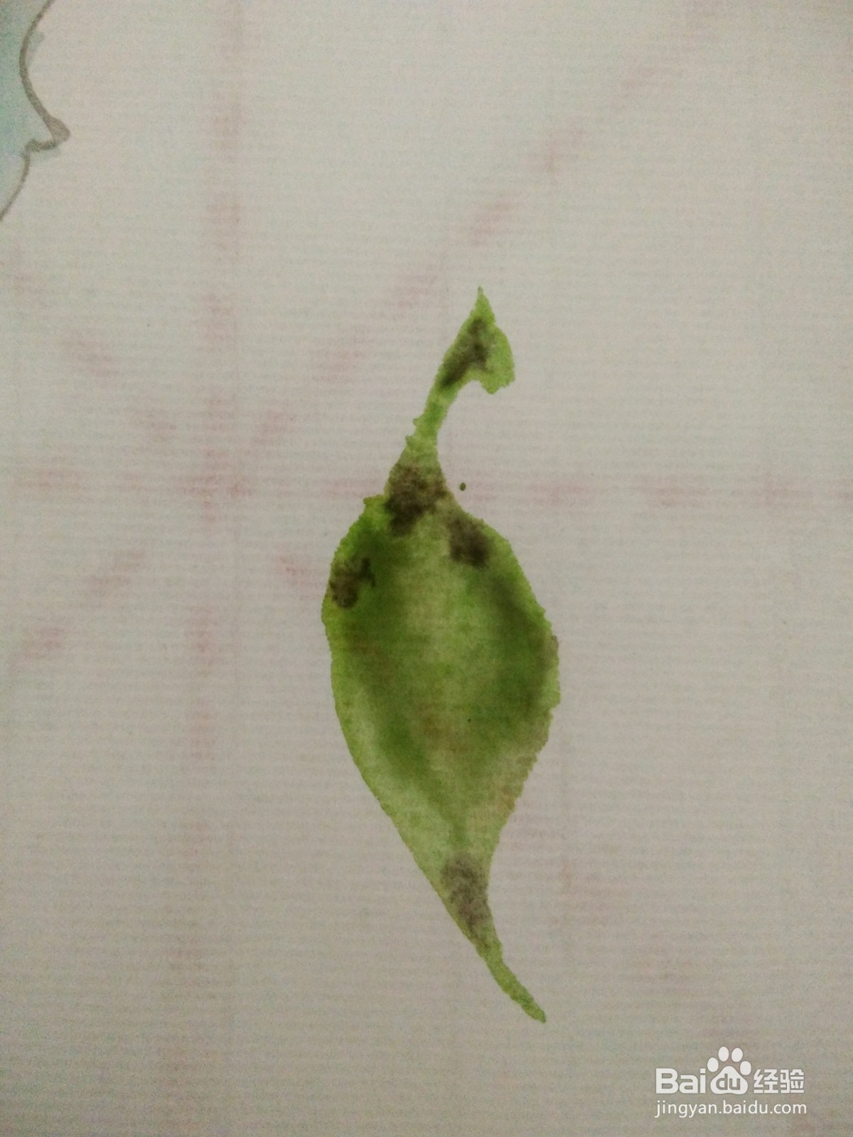 如何学习国画中的晕染技法