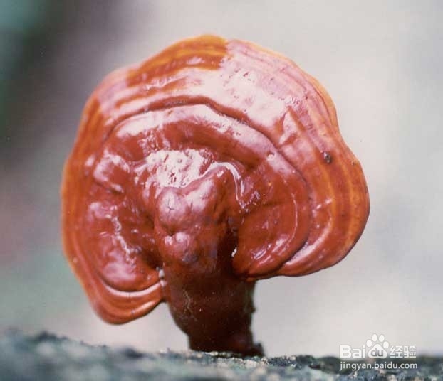 健康解决失眠的几个方法