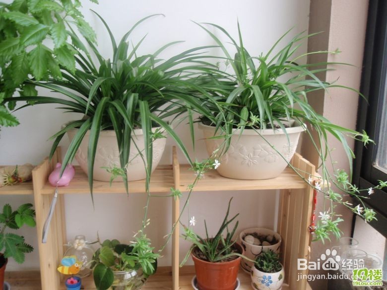 警惕甲醛残留，去除甲醛打造健康家居环境