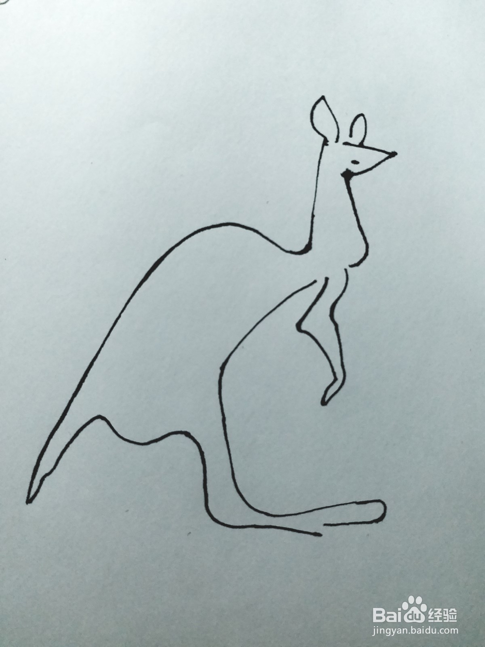 袋鼠的简笔画法（四）