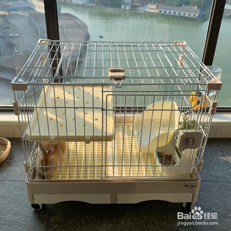 宠物兔笼子的选择