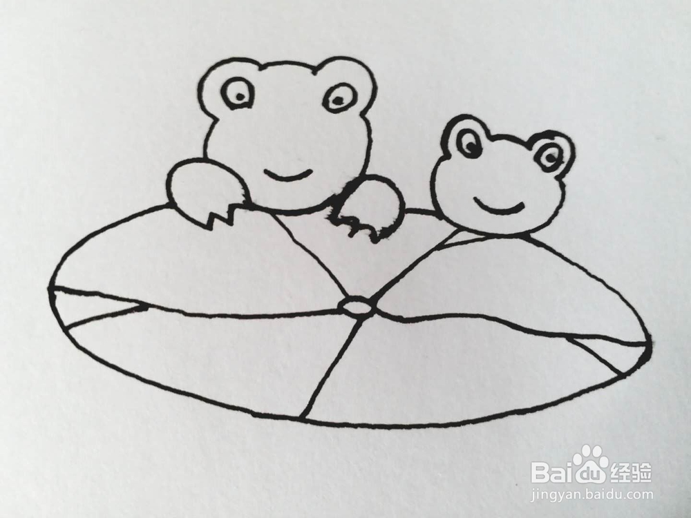 青蛙的简笔画法7