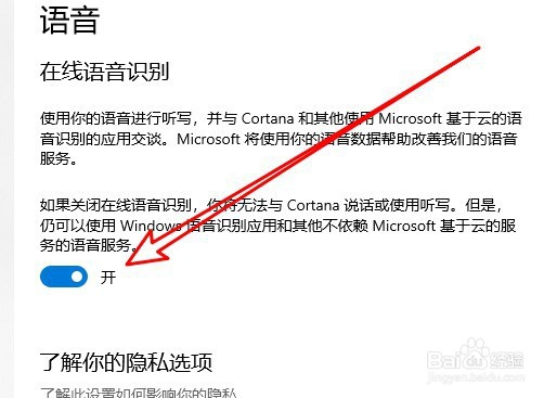 windows10系统怎么样打开在线语音识别功能