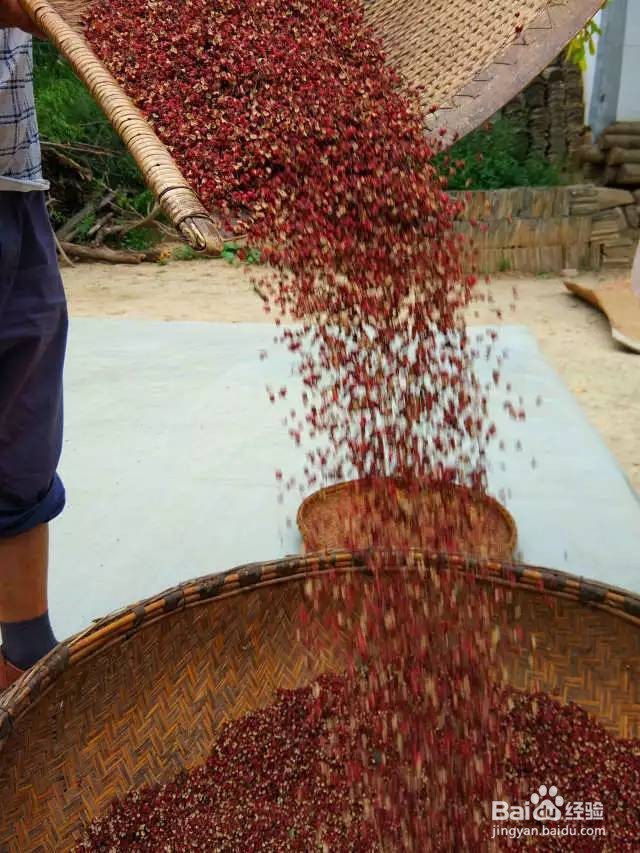 湿花椒怎么做成干花椒