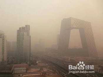 怎样去除雾霾、防止雾霾的危害