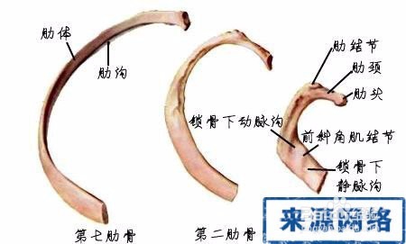 怎样学好医学