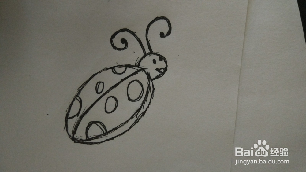 如何简笔画瓢虫