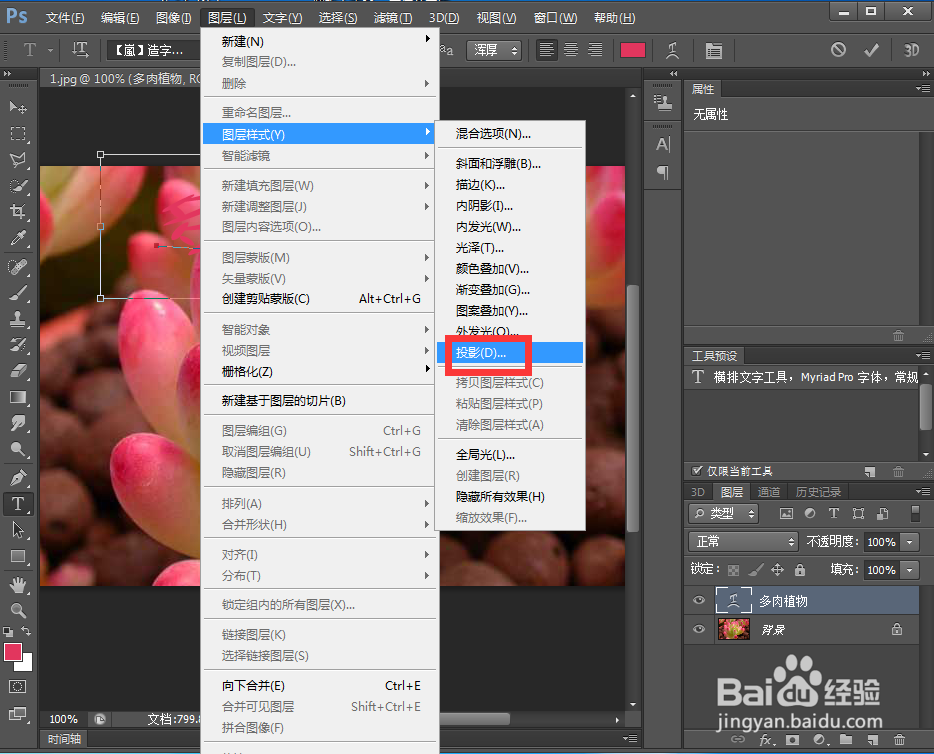 怎样给文字添加鱼眼和投影效果