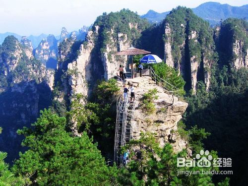 张家界自助游咨询