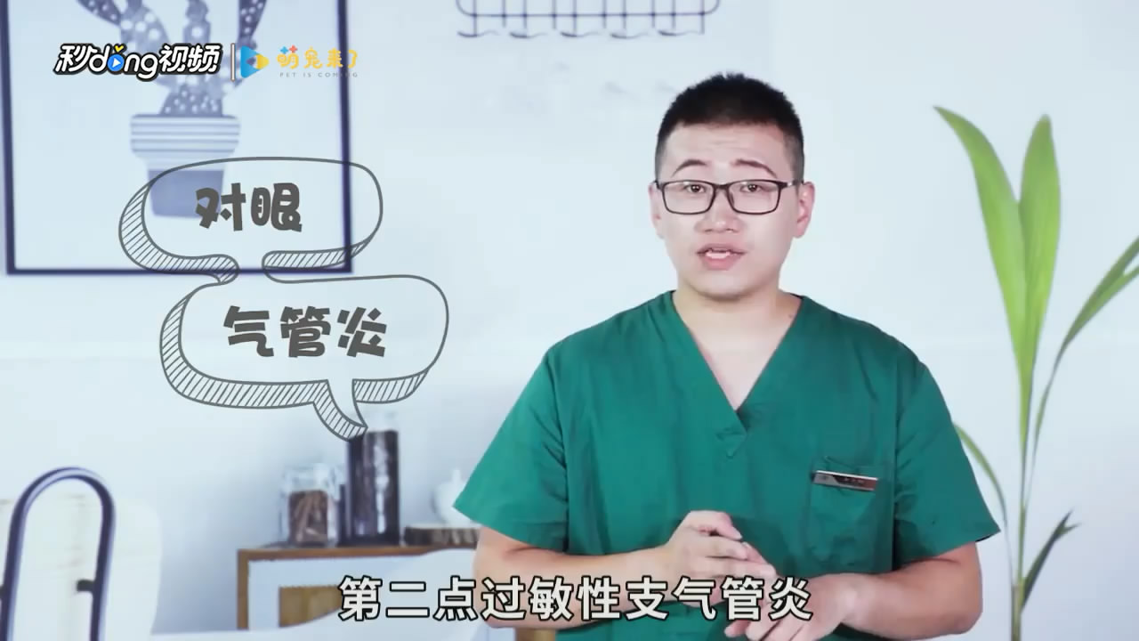 暹罗猫怎么养