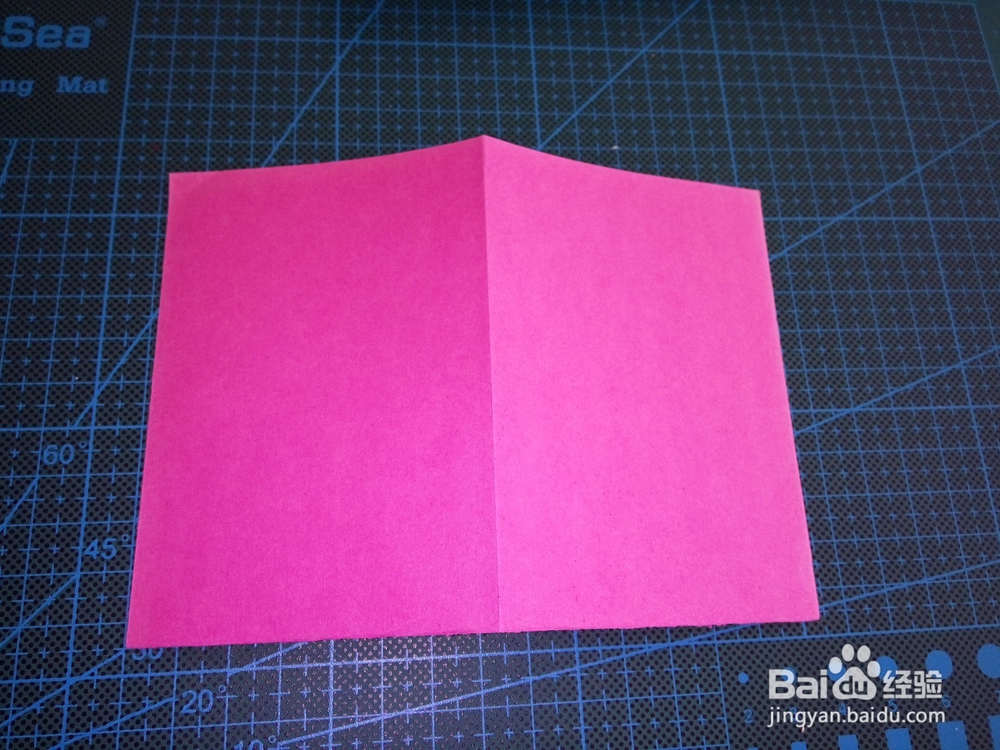 儿童剪纸之爬山虎叶剪纸教程