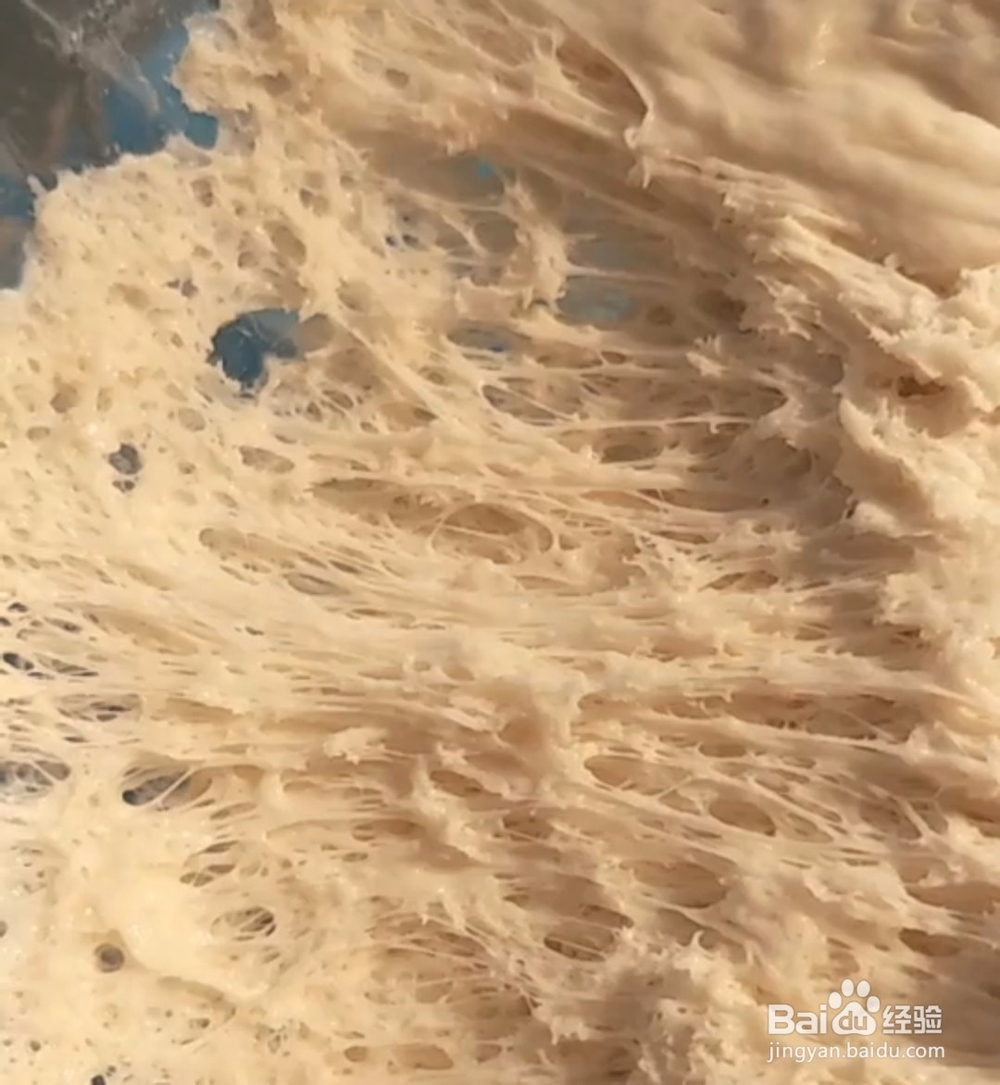 白菜粉条包子的美味做法