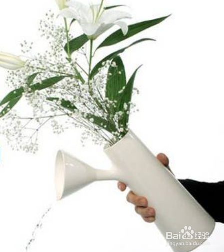 买的花束放水里怎么养