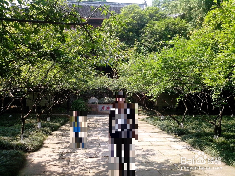 假期旅游之浙江超山风景区