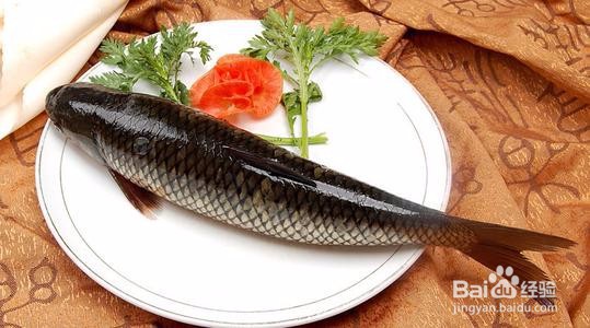 养草鱼需要注意什么?