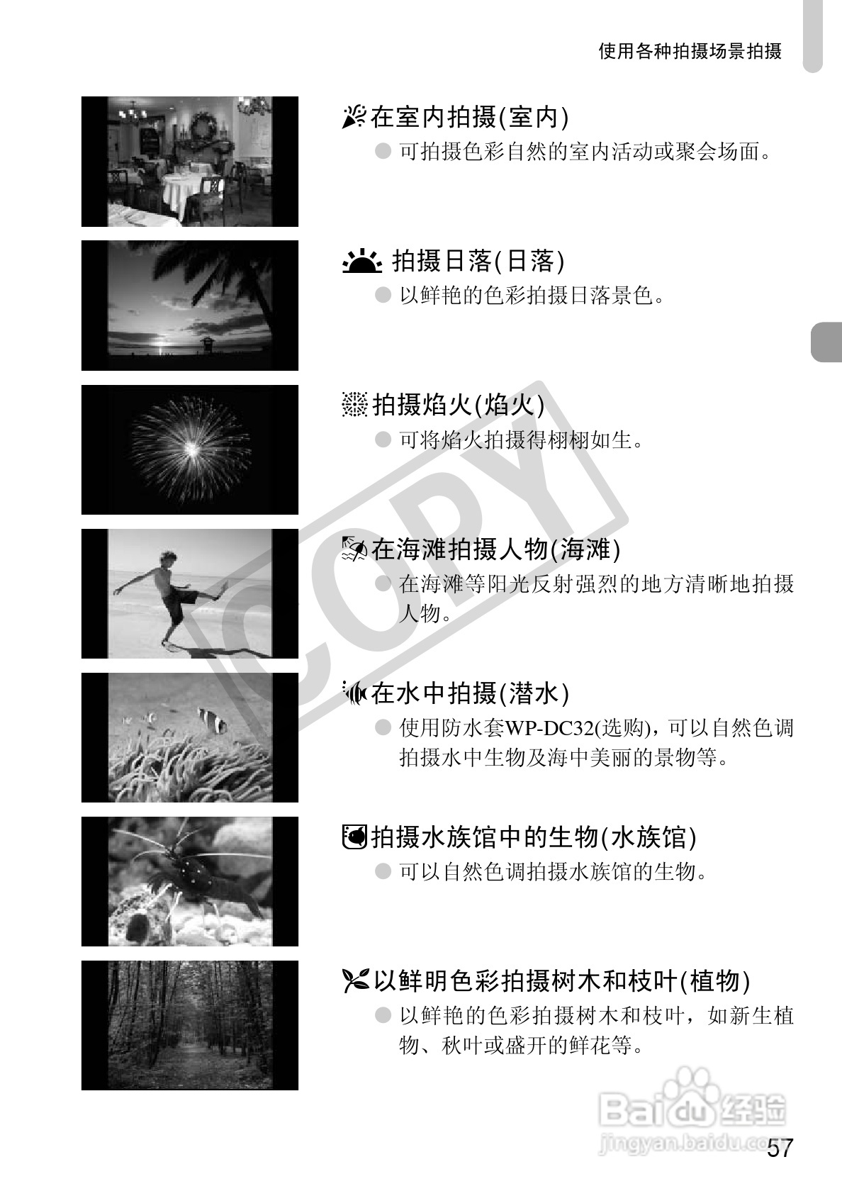 佳能DIGITAL IXUS1101S相机使用说明书:[6]