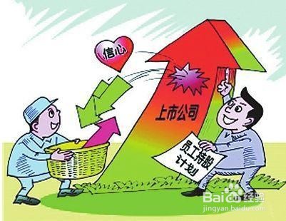 嘿,您瞧HR对员工持股制度的设计!