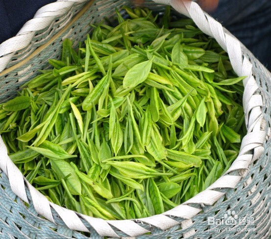 如何运用茶叶来保养身体