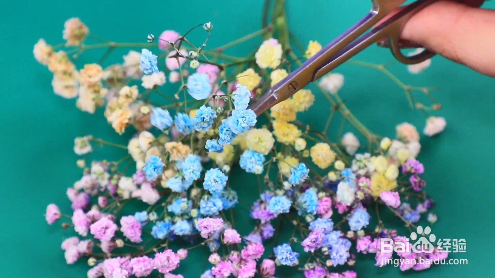 给芭比做一个花朵妆容,真的超级漂亮!