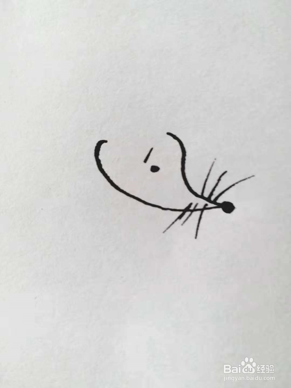 老鼠的简笔画法（一）