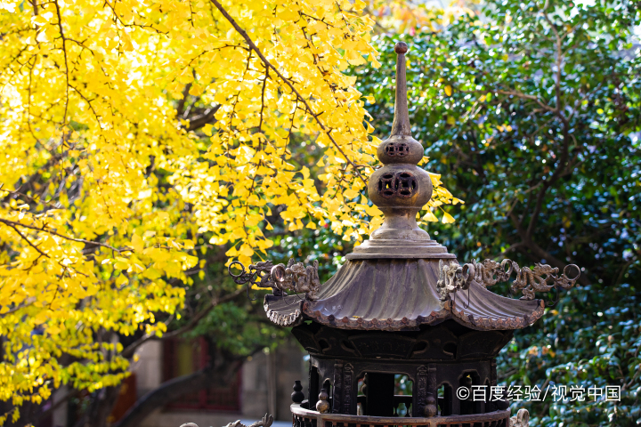 青岛市有什么好玩的景点