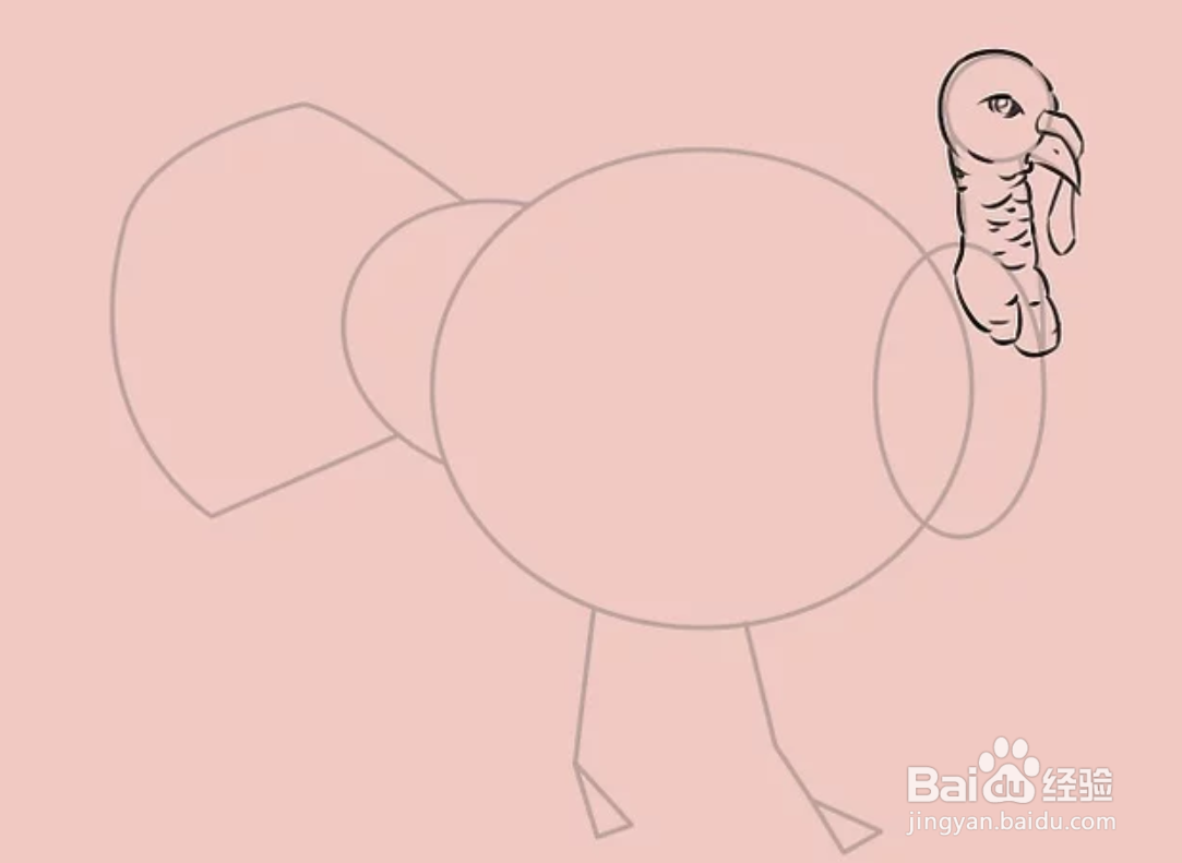 如何画一只火鸡