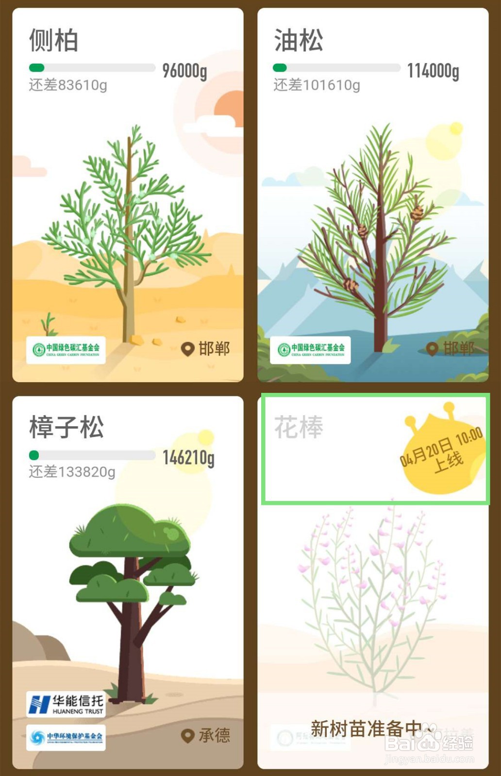 蚂蚁森林什么时候出花棒？