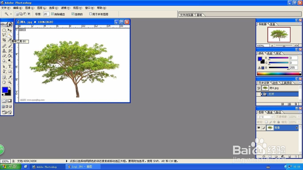 Photoshop选择树