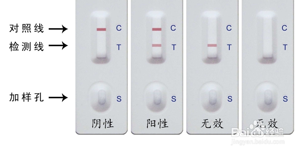 豪氏验孕卡的使用方法