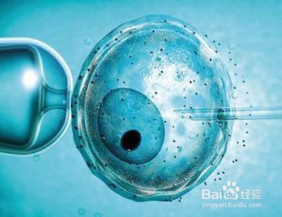 7大异常阻挡马来西亚试管婴儿成功