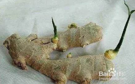 大蒜、洋葱、生姜、土豆发了芽还能吃吗？