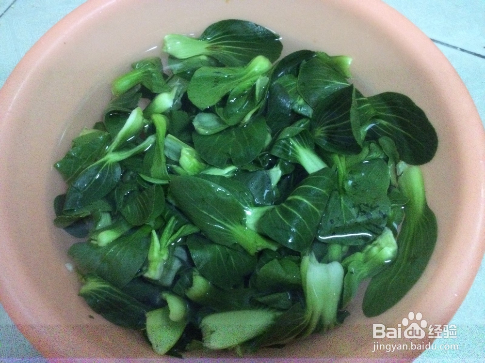 怎么做萝卜青菜汤