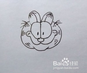 简笔画：加菲猫头像