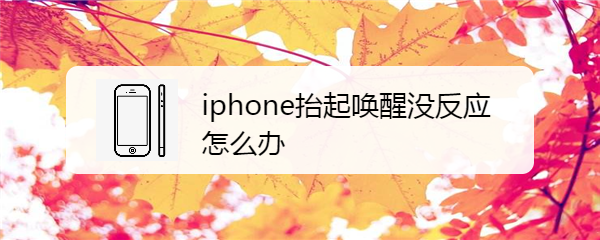 <b>iphone抬起唤醒没反应怎么办</b>