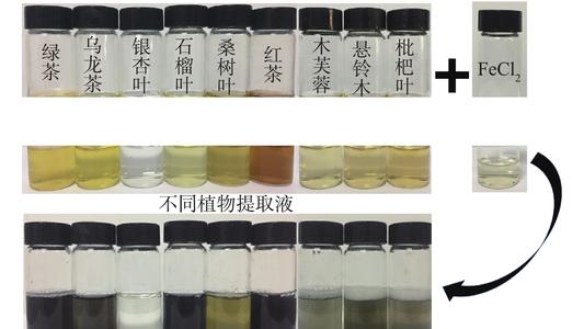 纳米铁与水反应吗