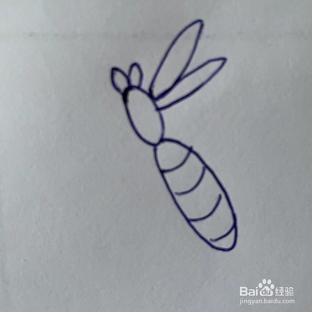如何画蜻蜓？