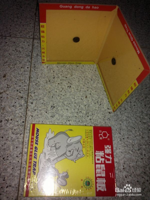 家里有老鼠怎么办