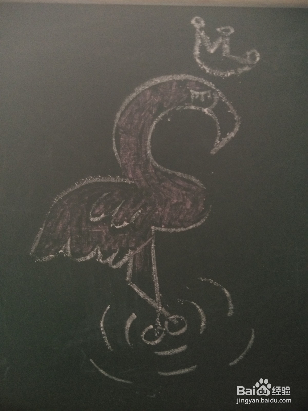 火烈鸟的简笔画法