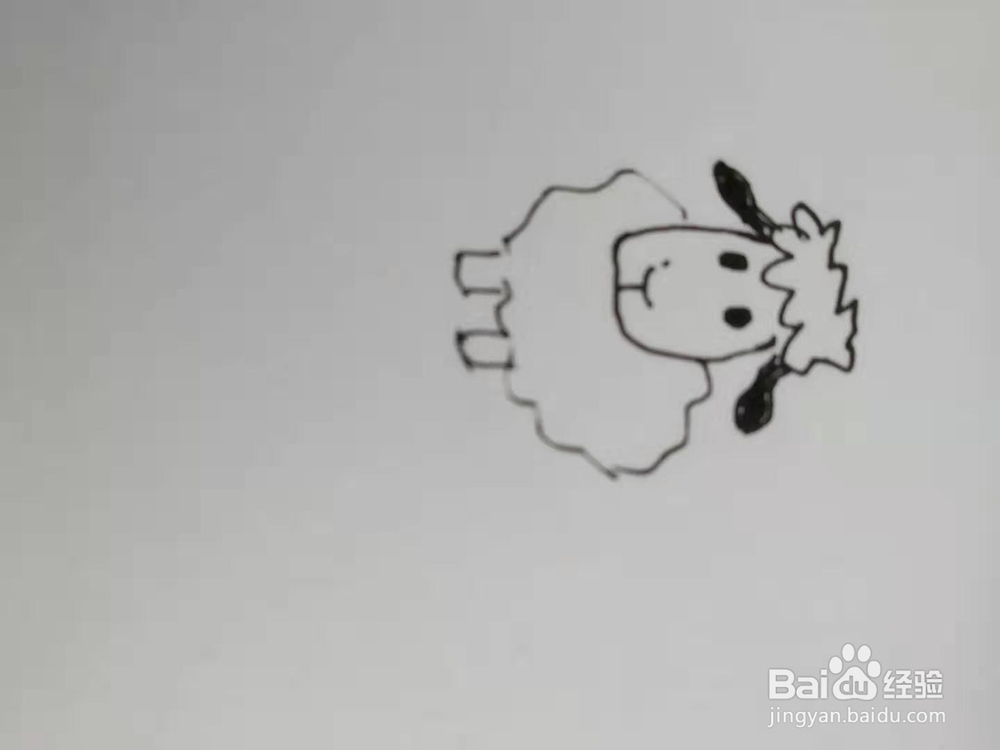 怎么简单画好一只绵羊