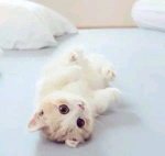 PDF编辑工具怎么编辑PDF文件内容