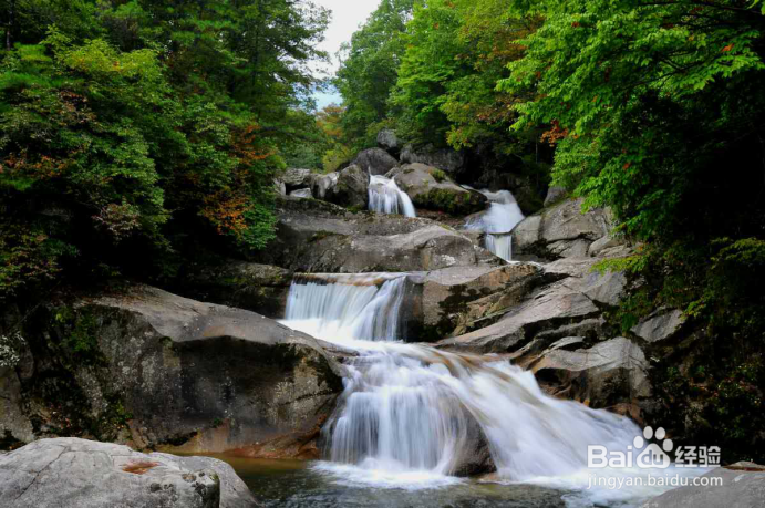 陕西云雾山景区游览攻略